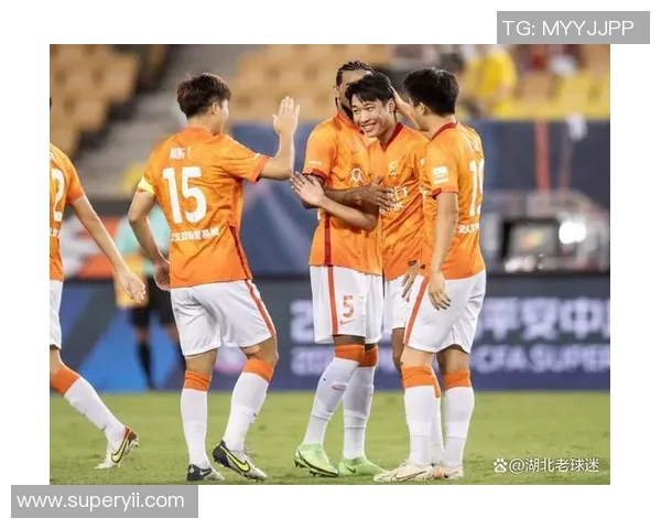 武汉排球队状态分析大满贯点评展现球队实力与潜力